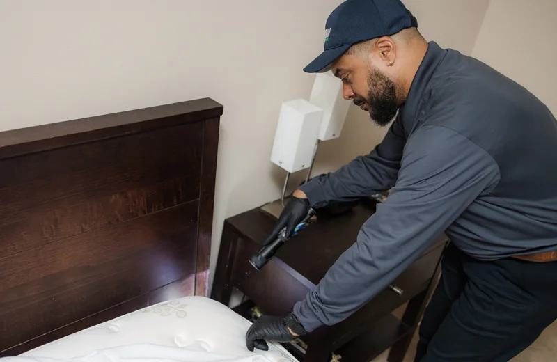 mobile-bed-bugs-treatments
