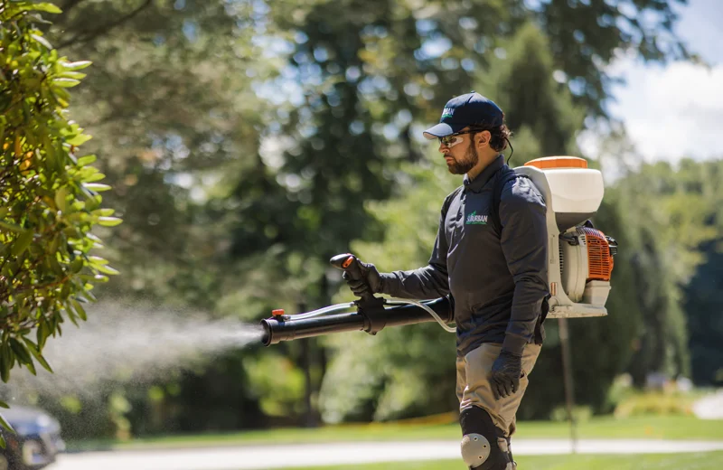 mobile-image-mosquito-control