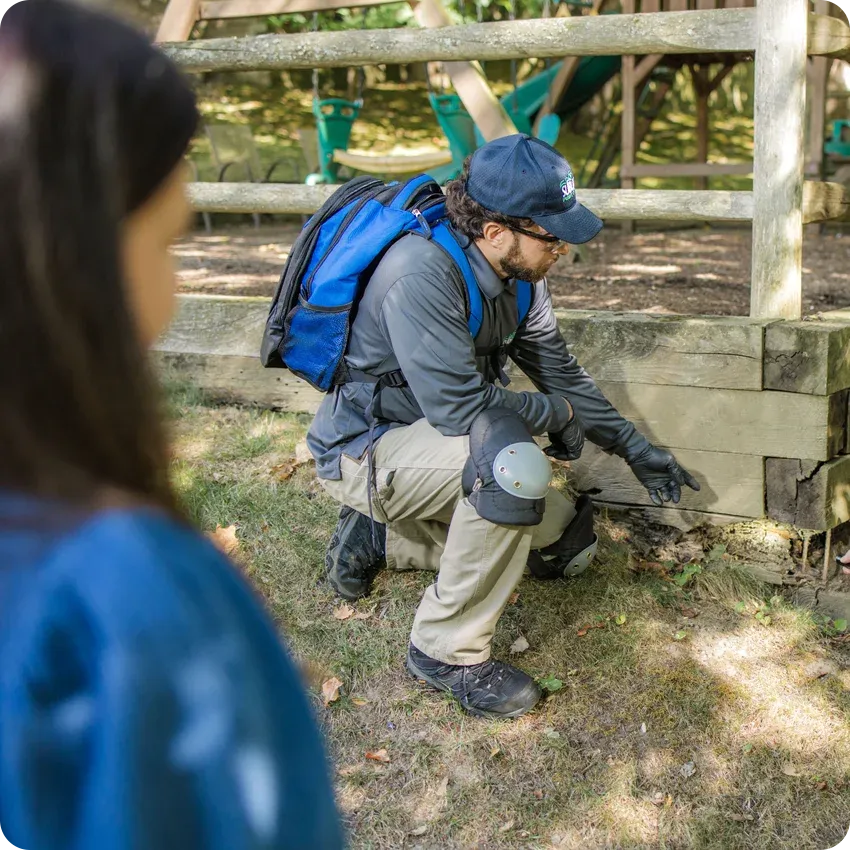 termite inspection