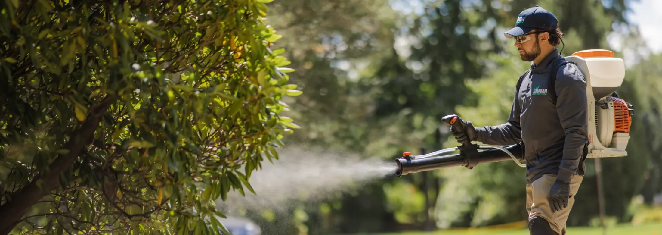 hero-service-image-mosquito-control